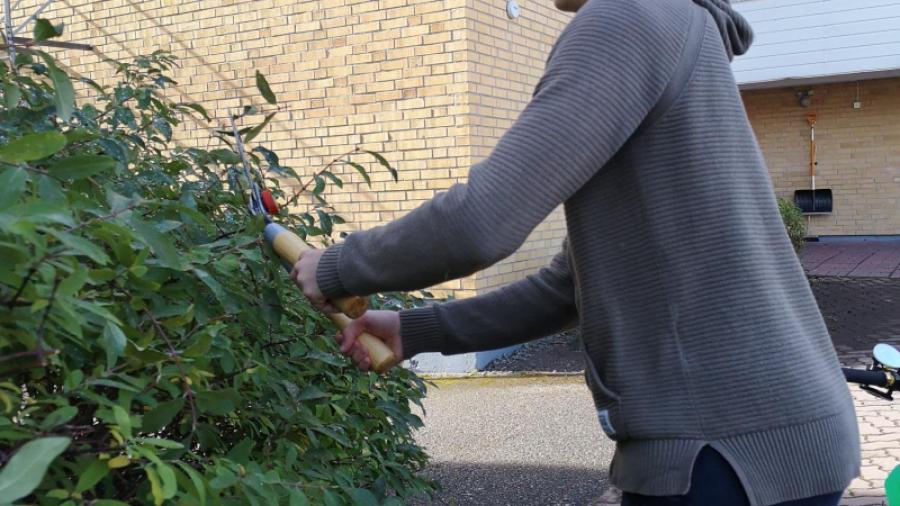 Jack klipper till och trimmar buskarna
